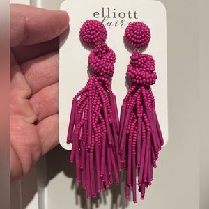 Nwt earrings